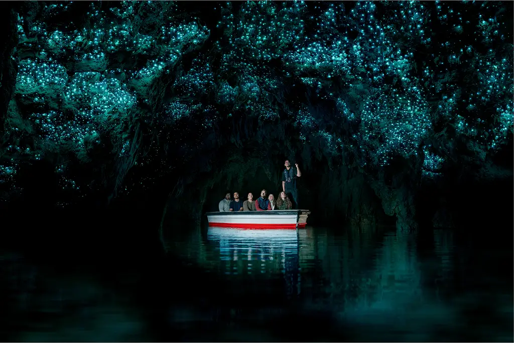 6D-New-Zealand-03