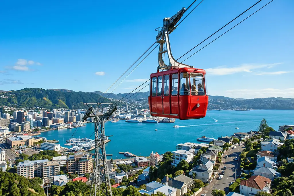 6D-New-Zealand-06