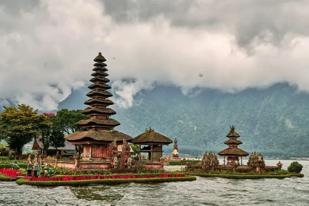 bali-dolphin-gallery2
