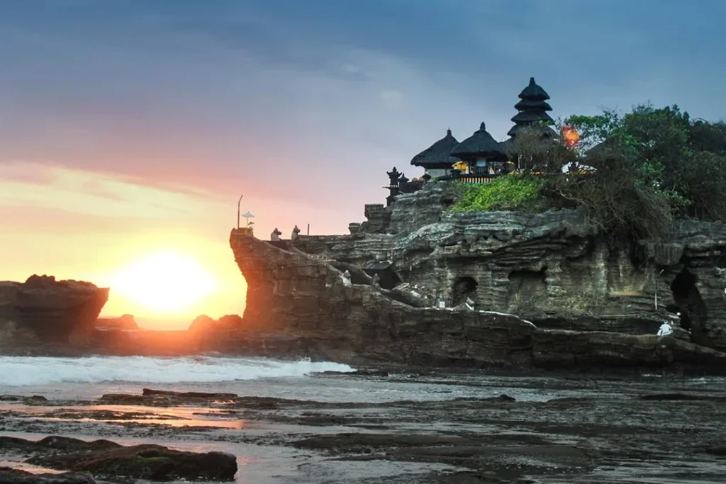 bali-dolphin-gallery5