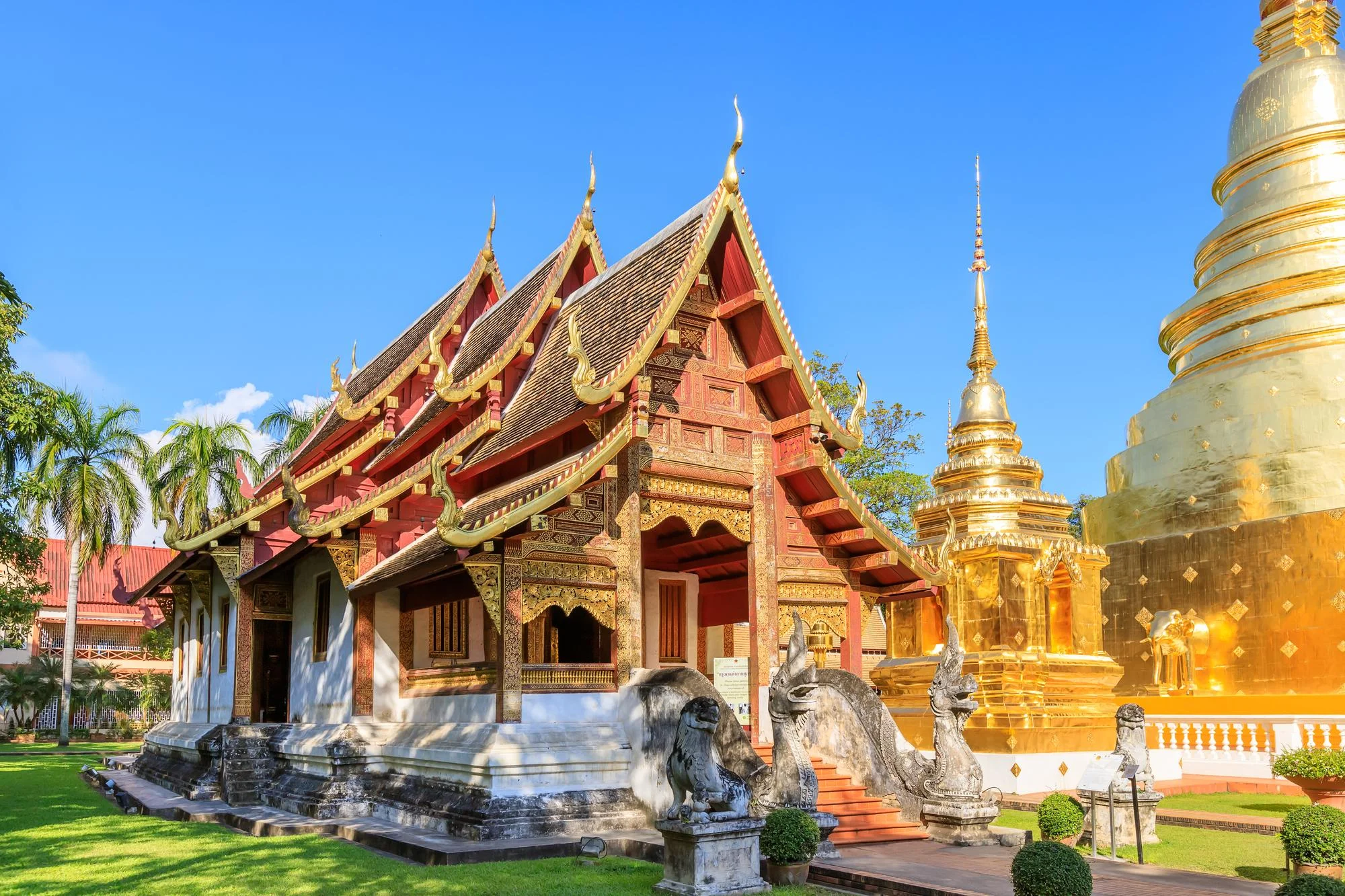 jatra bangkok pattaya