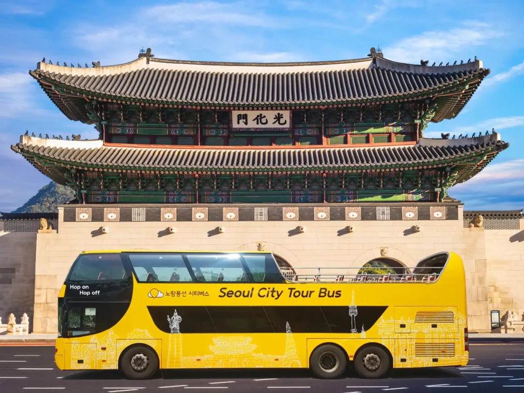 gallery-blossom-korea-03