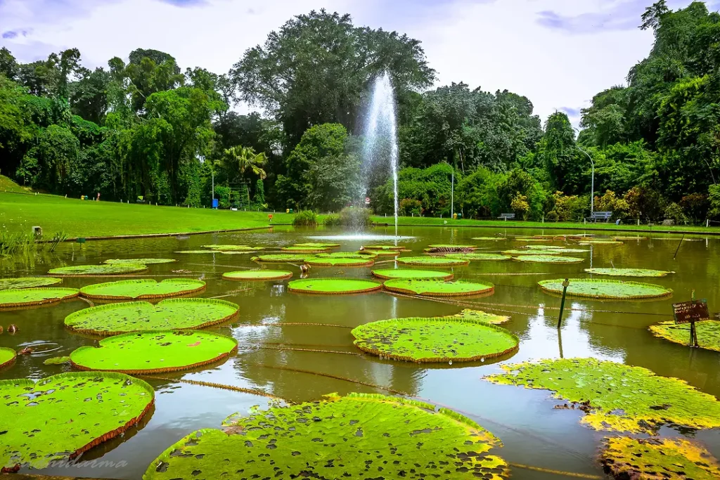 gallery-bogor-leisure-2 1