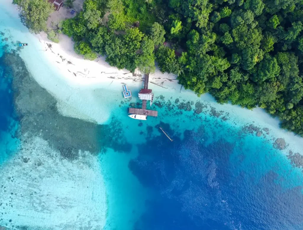 raja ampat 4d tour
