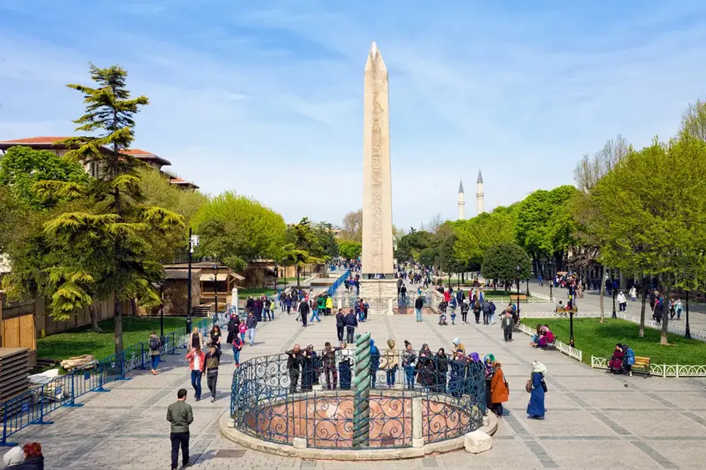 turkey-10D-01