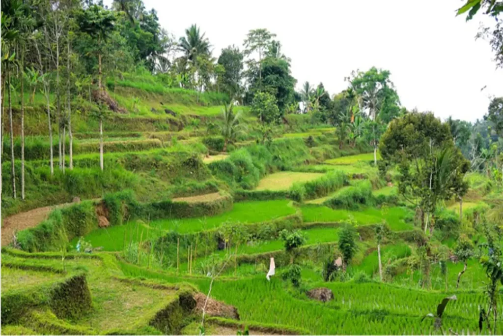 3D2N Natural Lombok03