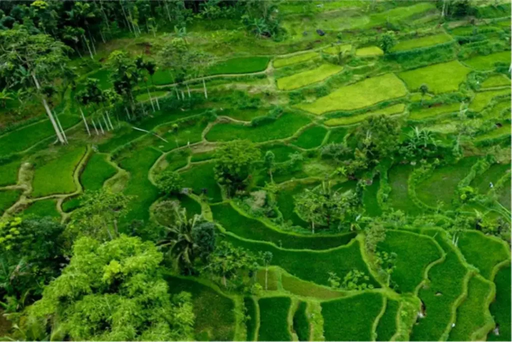 3D2N Natural Lombok04