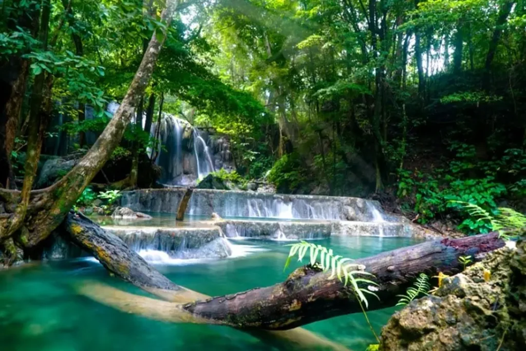 4D3N Exotic Sumbawa 02