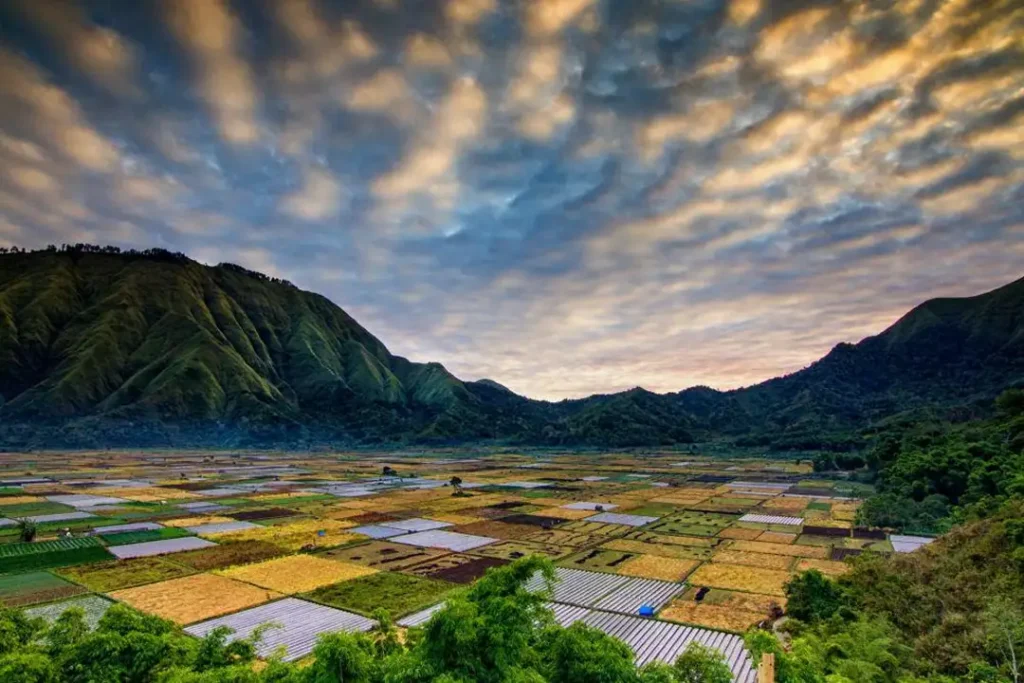 5D4N Explore Lombok 03