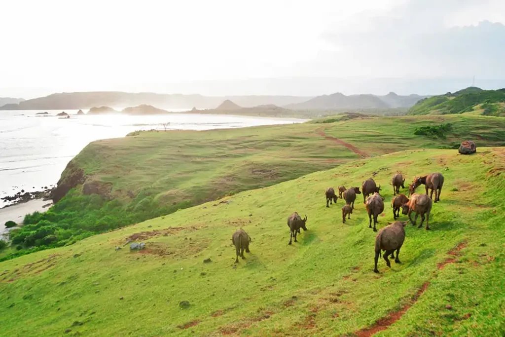 5D4N Explore Lombok 05