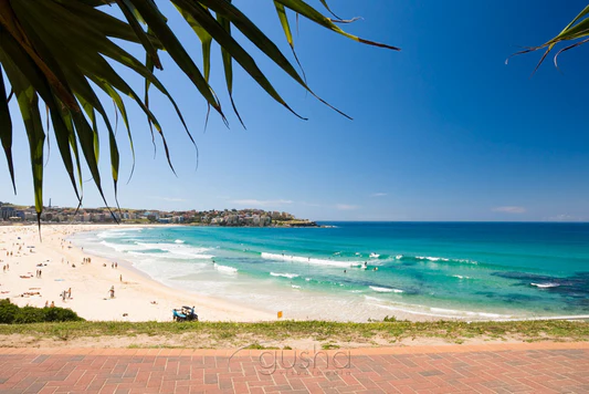 SYD2296-Bondi-Beach-photo