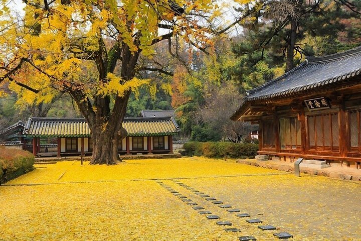 jeonju hanok village